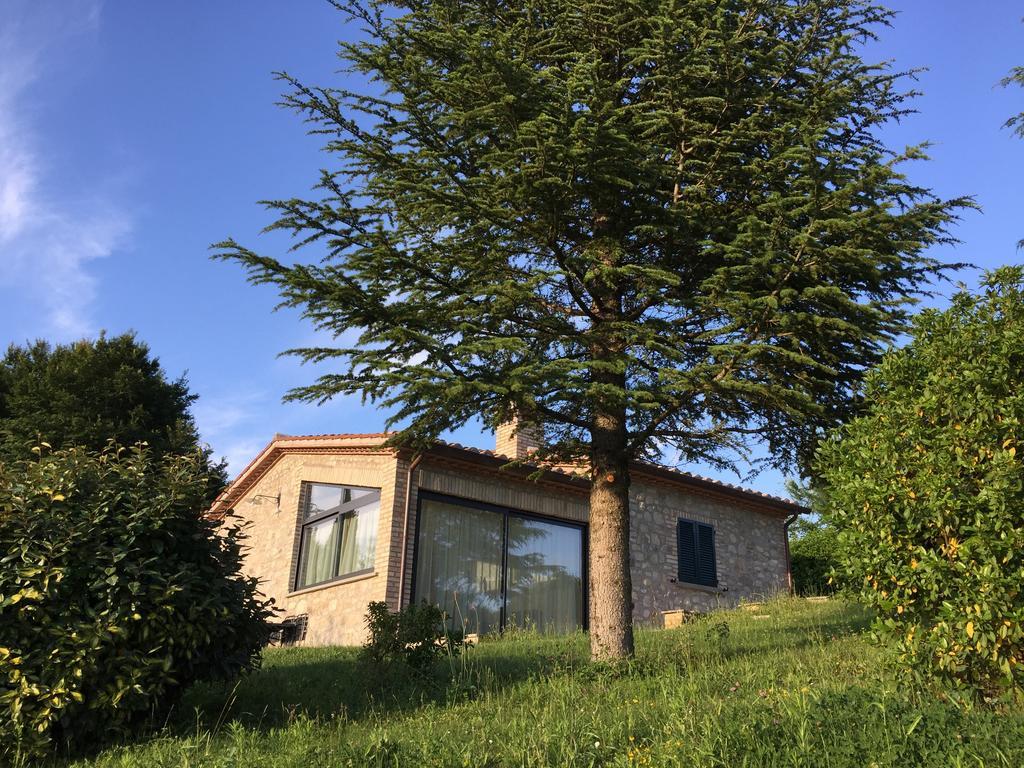 Villa Agricola Caicucci Montone  Zimmer foto